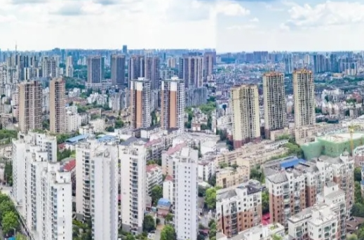 株洲市副市长率队在荷塘区督导