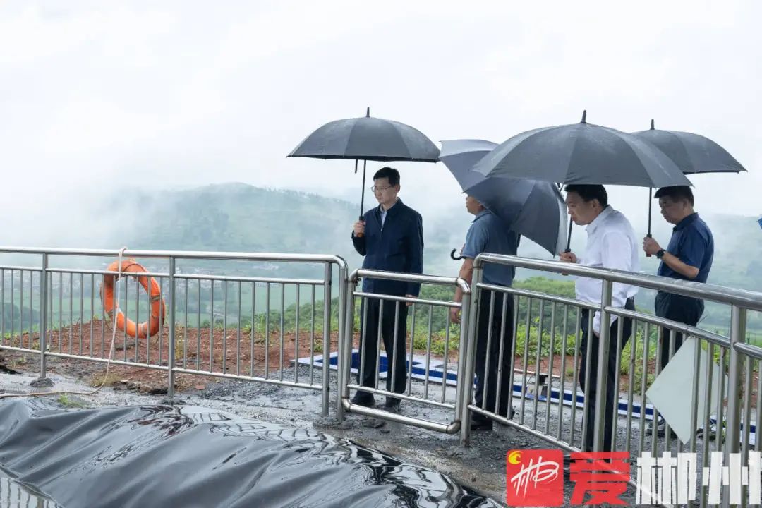 郴州：坚定抓好整改落实  坚决守护生态安全