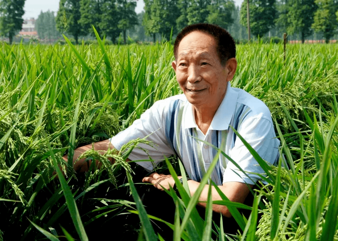 辛小湘丨緬懷袁老最好的方式莫過于“端穩(wěn)大國飯碗”