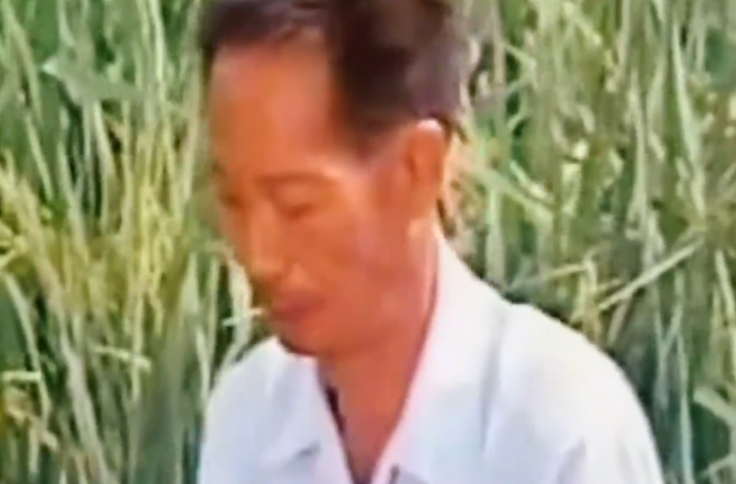 今天，重温袁爷爷的话