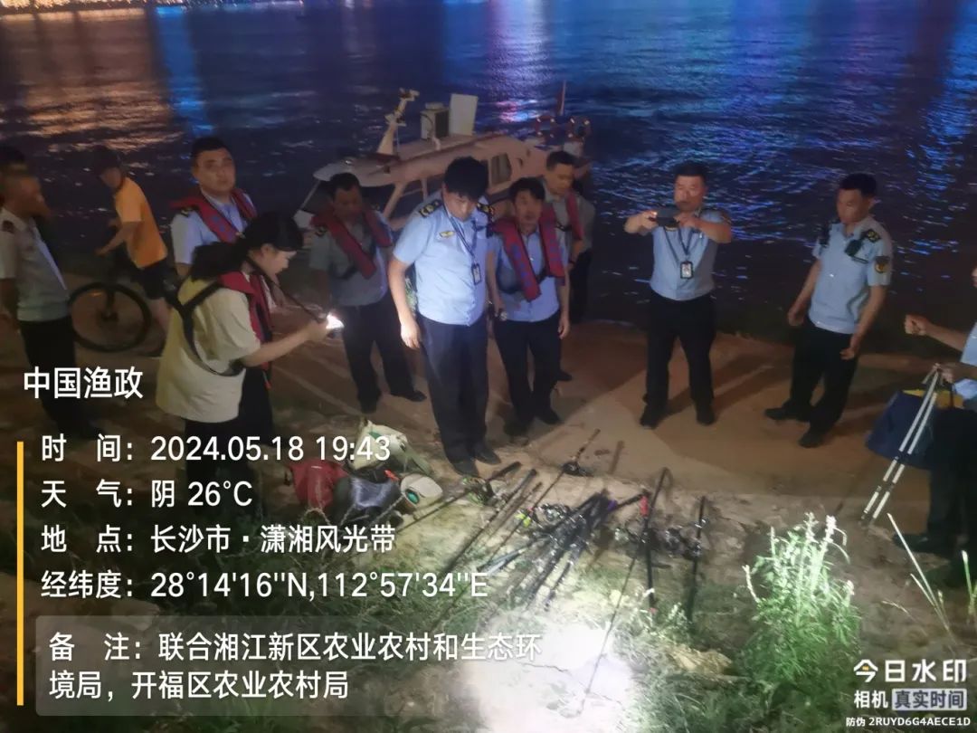 十年禁渔，湘江鱼跃，单次监测到鱼类较禁渔前增长52%