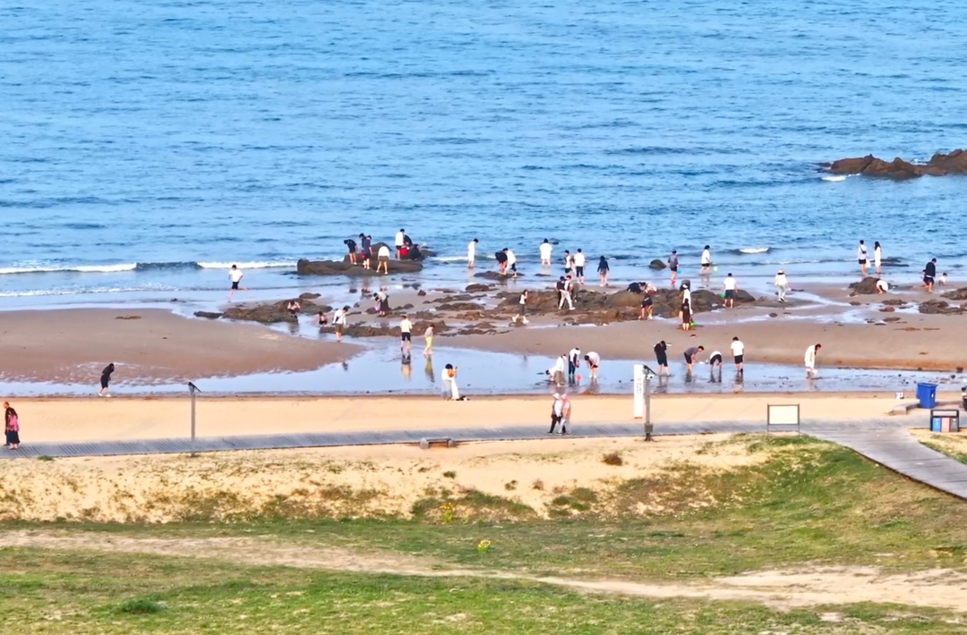 時政現(xiàn)場說丨打造活力多元陽光海岸綠道 建設(shè)綠色可持續(xù)海洋生態(tài)環(huán)境