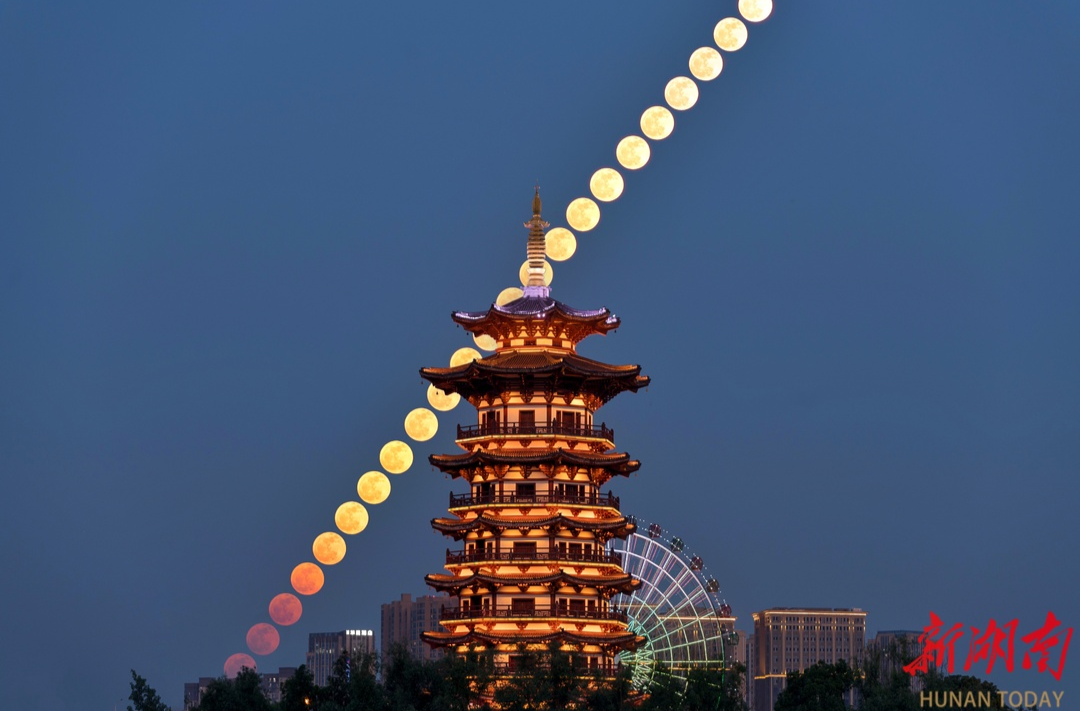 夜空中的白鹭塔
