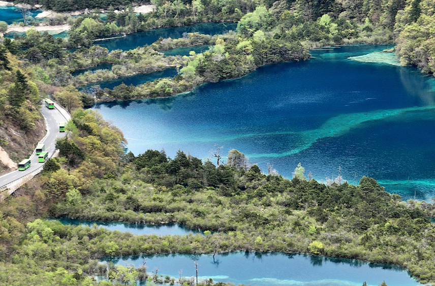 警惕“不合理低价游”！四川发布多条热点线路跟团参考价