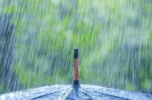 这些地区有大到暴雨！中央气象台发布暴雨黄色预警