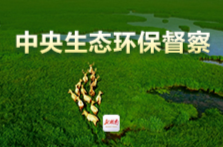 中央生态环保督察组向我省交办第19批信访件 | 湖南日报