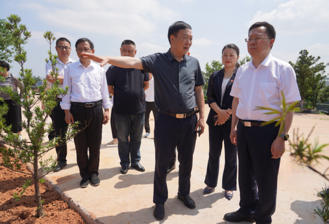 湘潭市人大常委会主任现场督导生态环保问题整改情况
