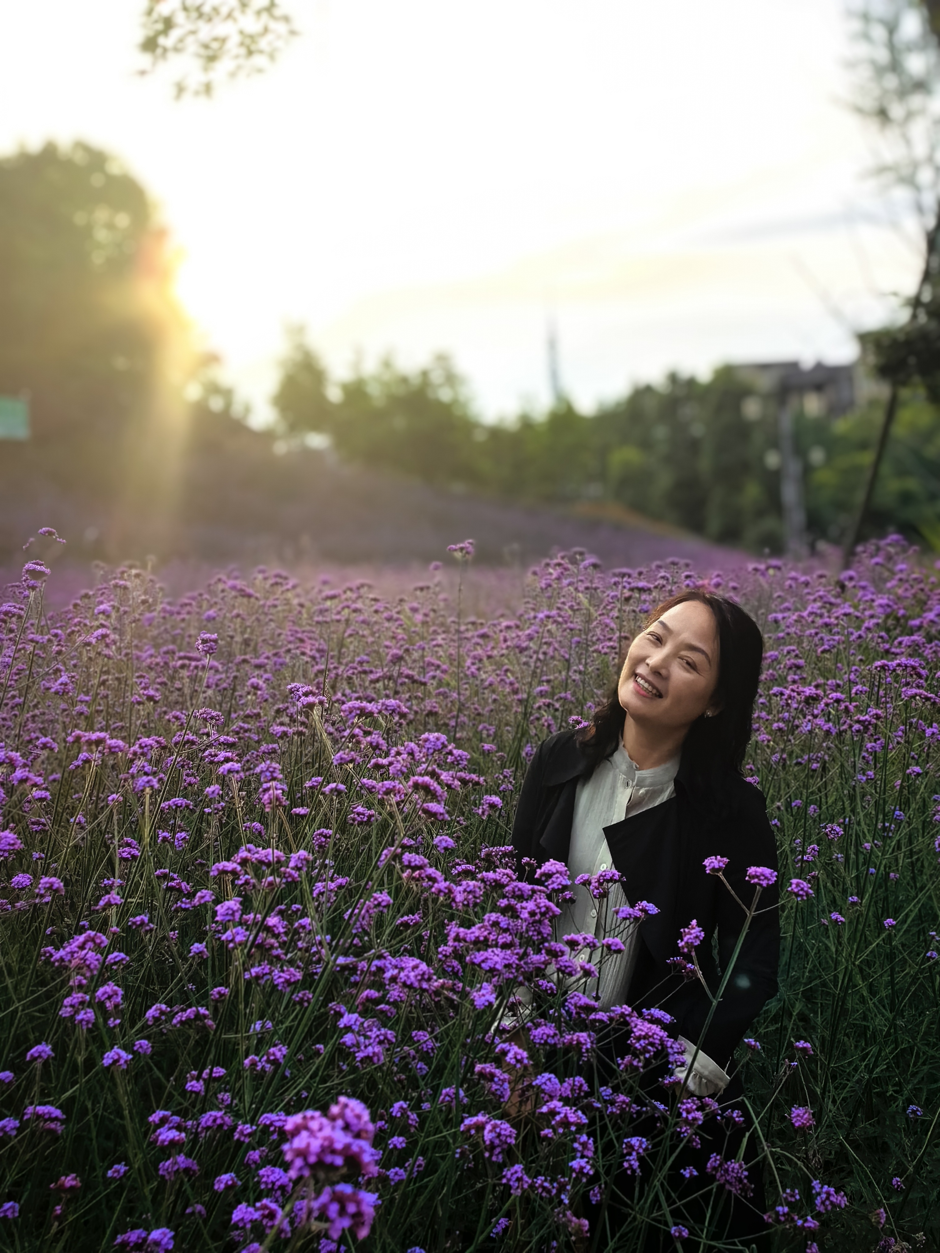 柔和而美丽