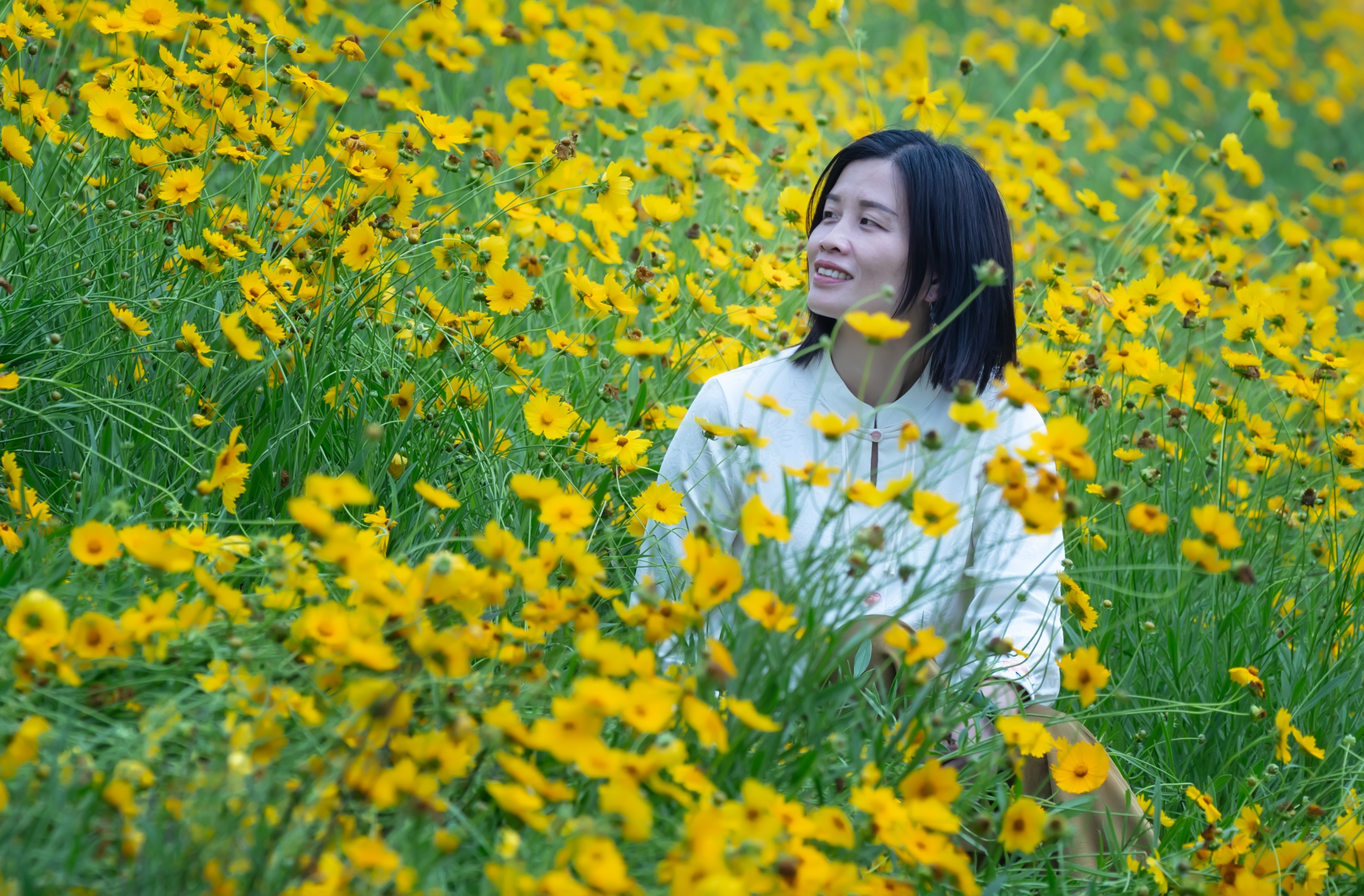 人共黄花艳