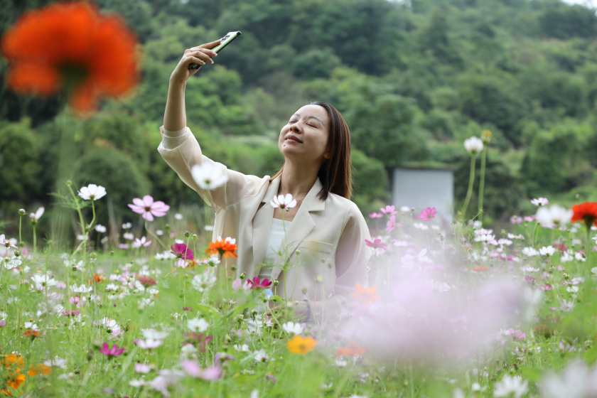 花映人更俏