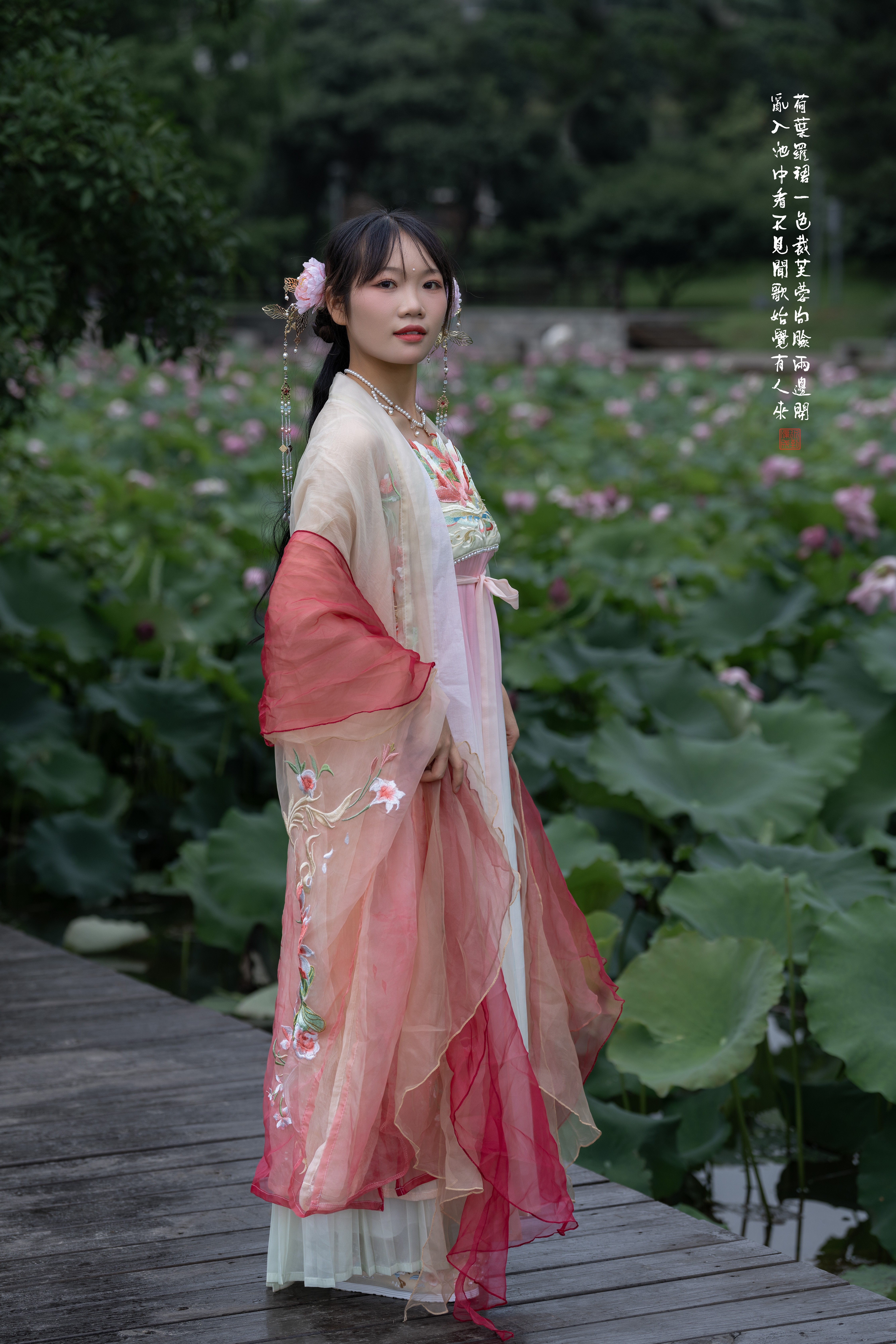 为“荷”而来