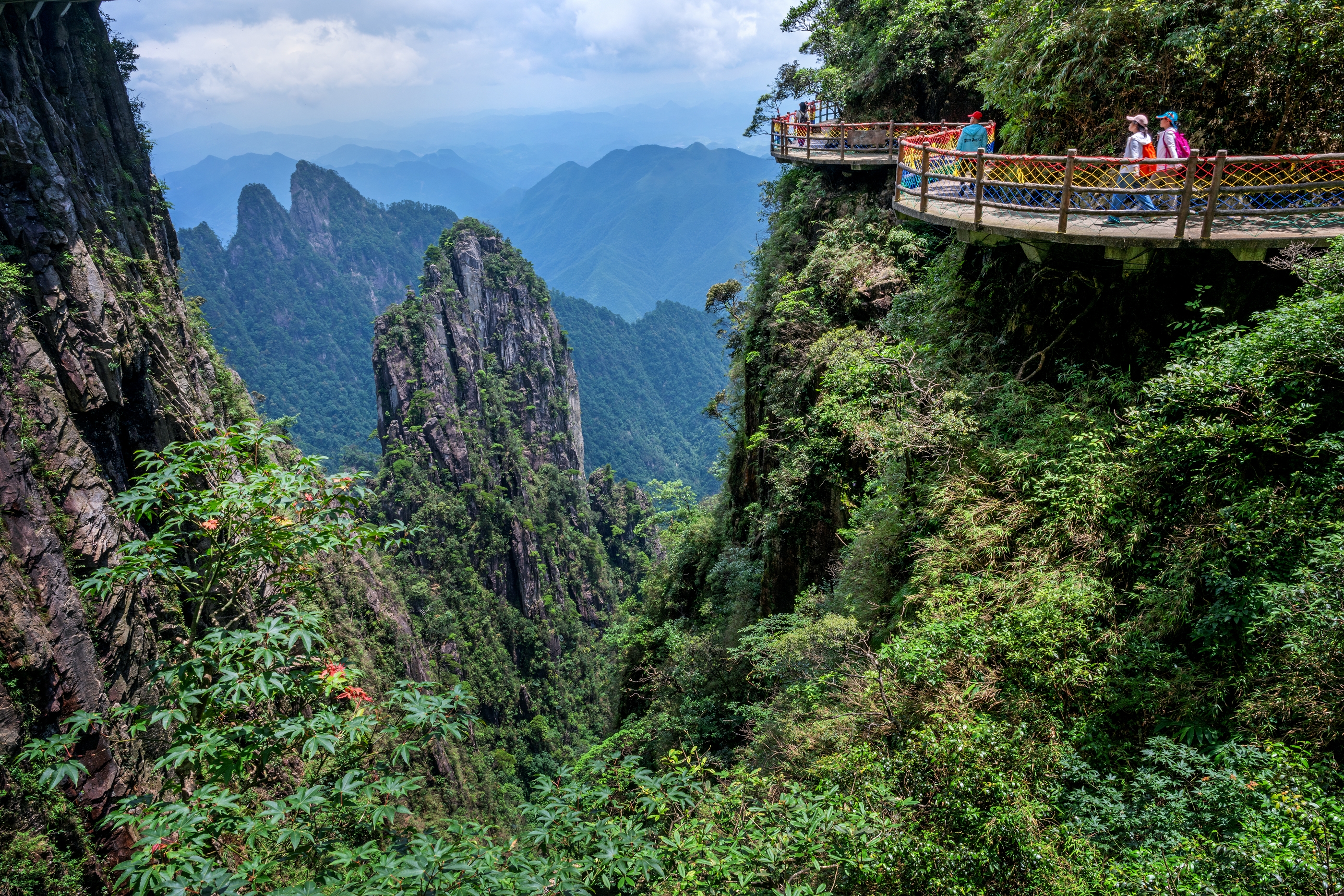 暢游莽山