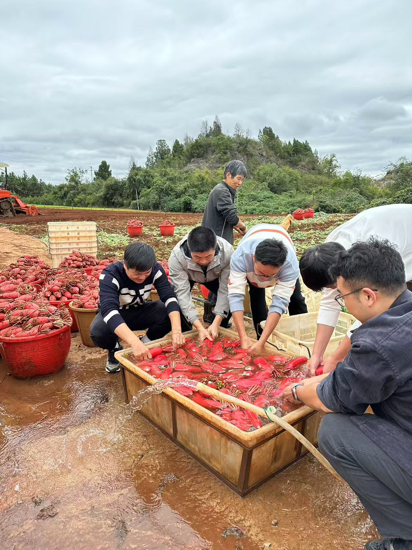 助农秋收