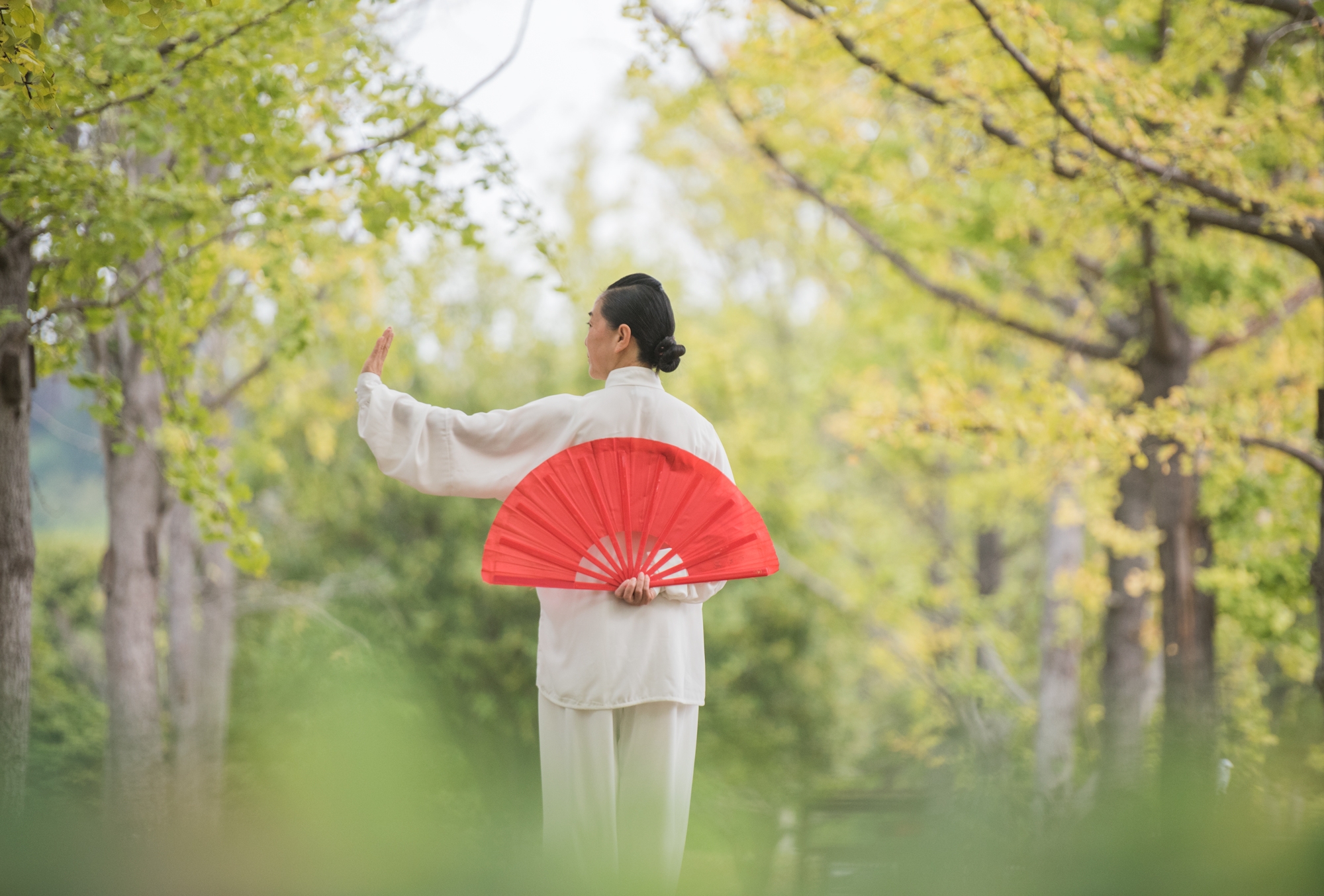 秋日银杏胜春花