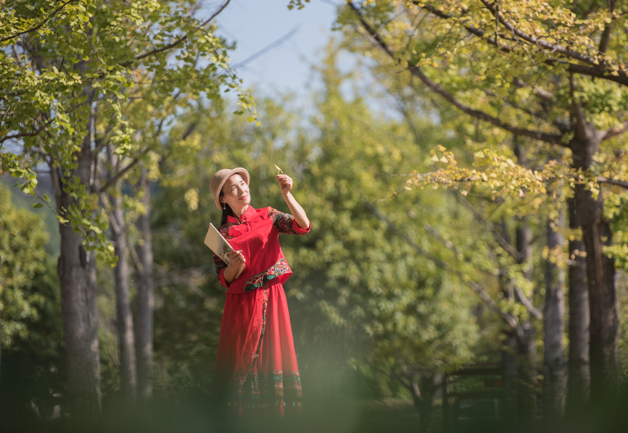 秋高气爽银杏黄