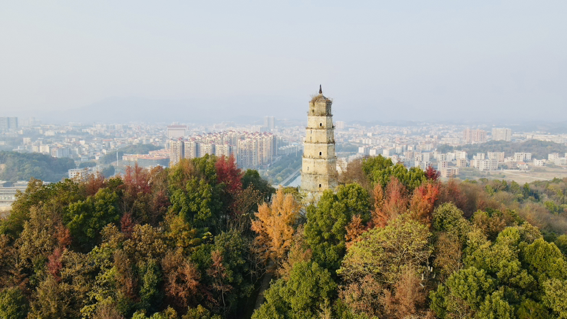 多彩冬季 草木皆景