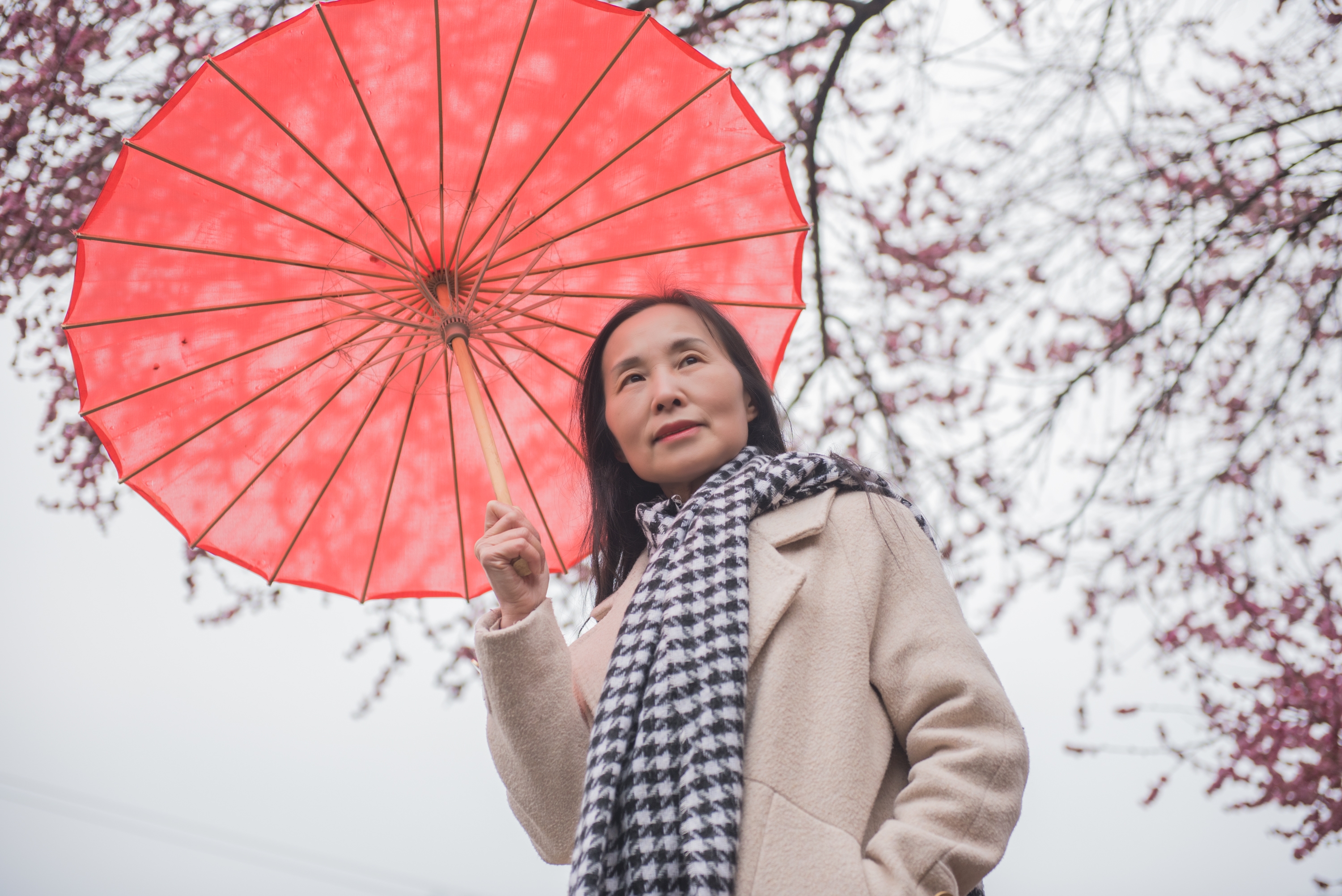 踏春赏梅