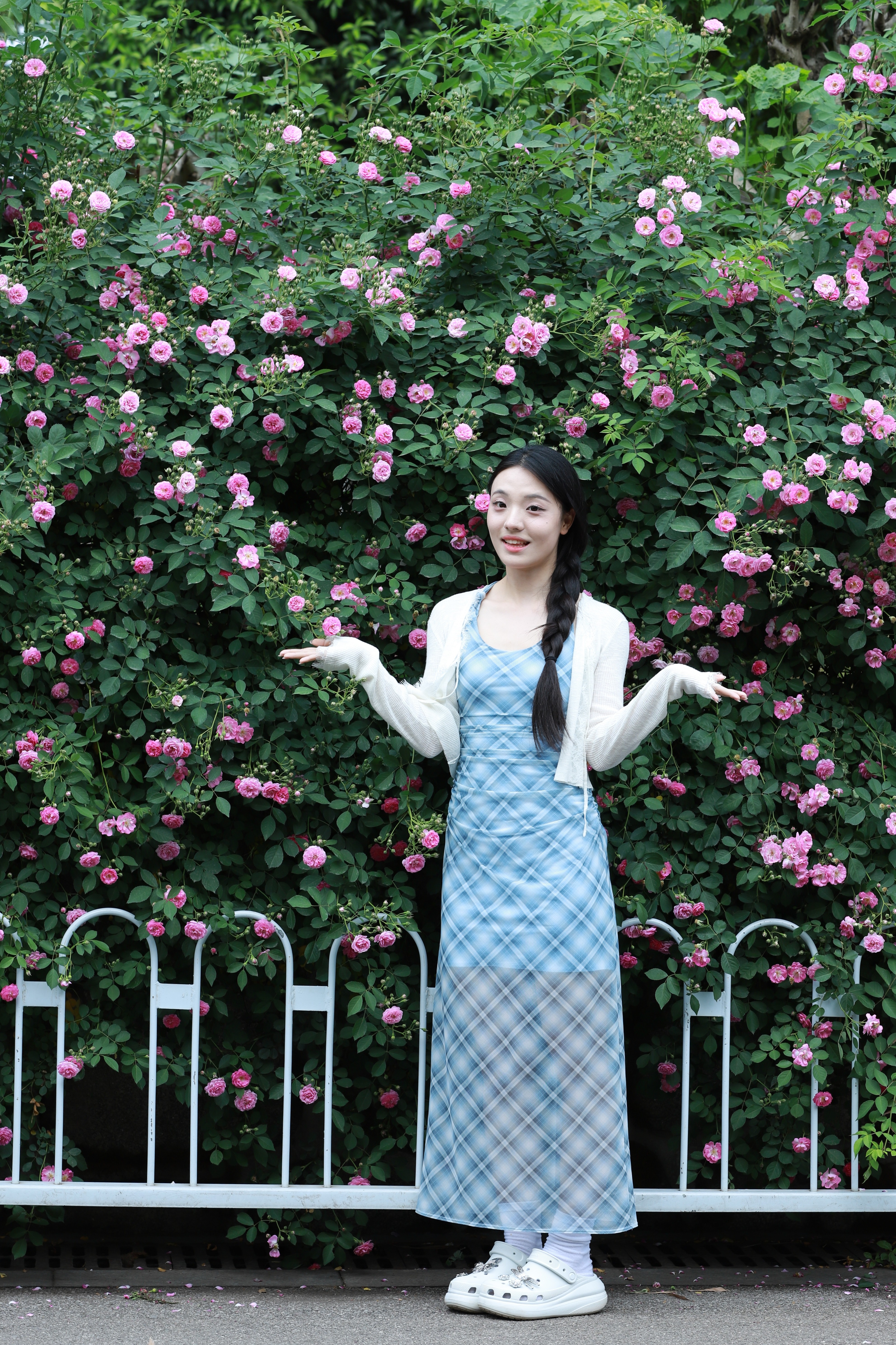 窈窕淑女