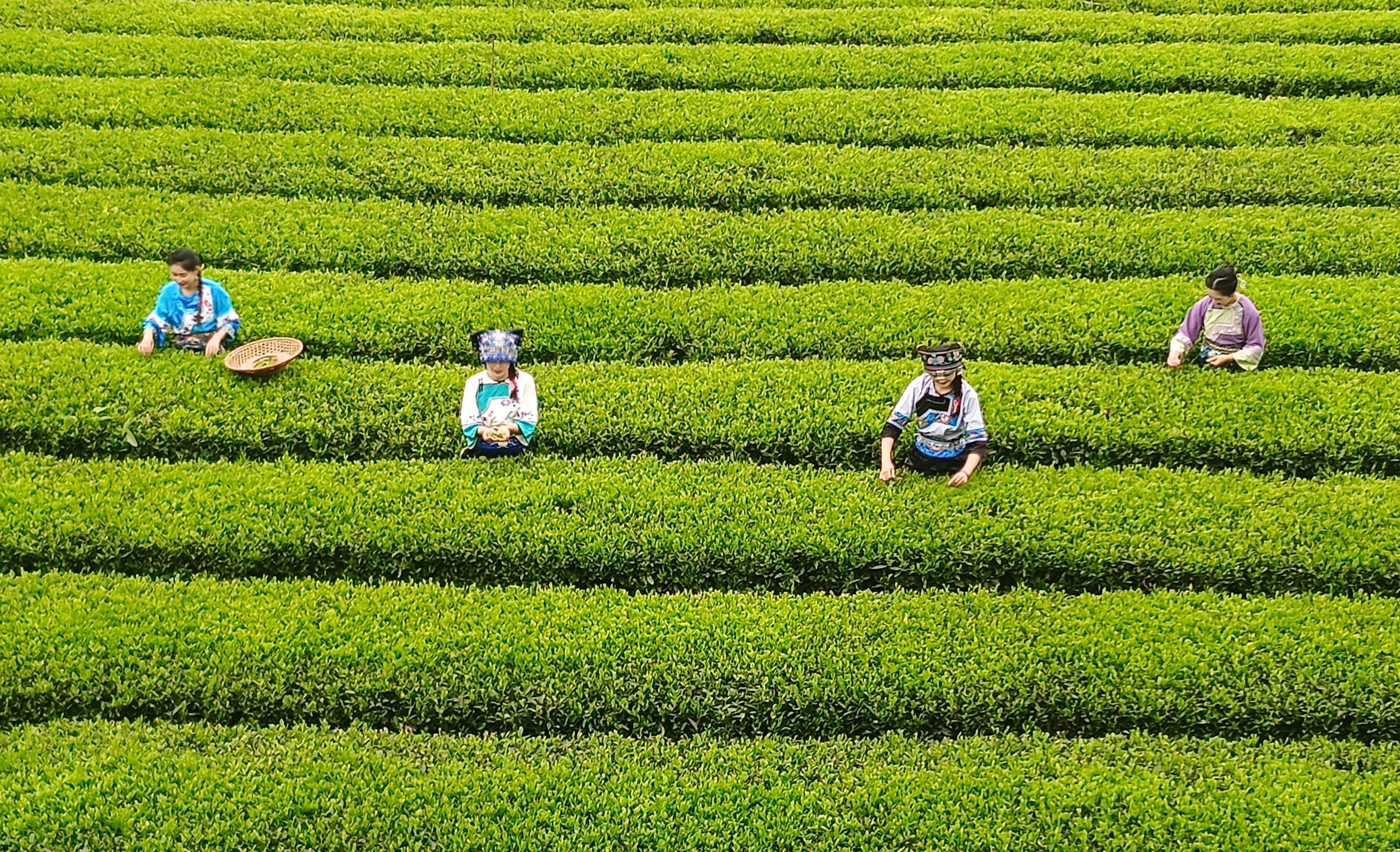 上茶山
