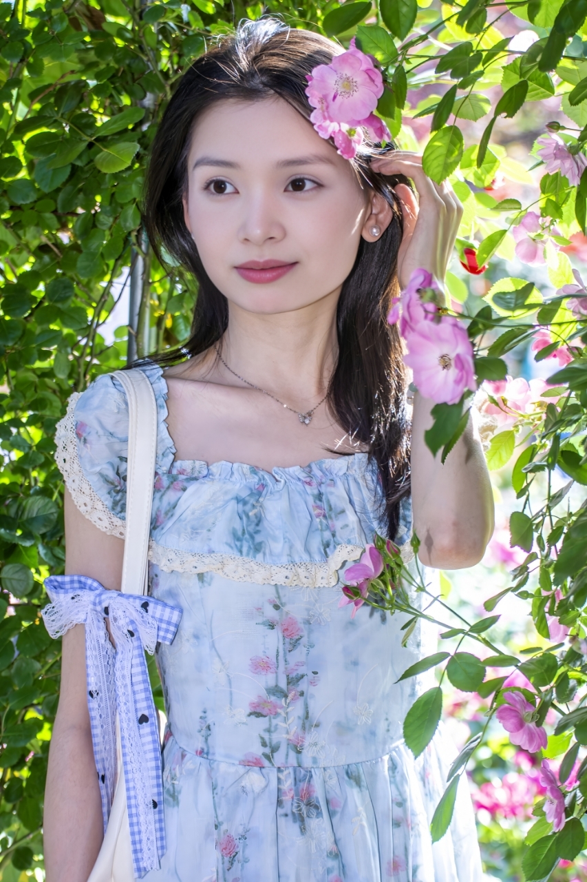 赏花打卡