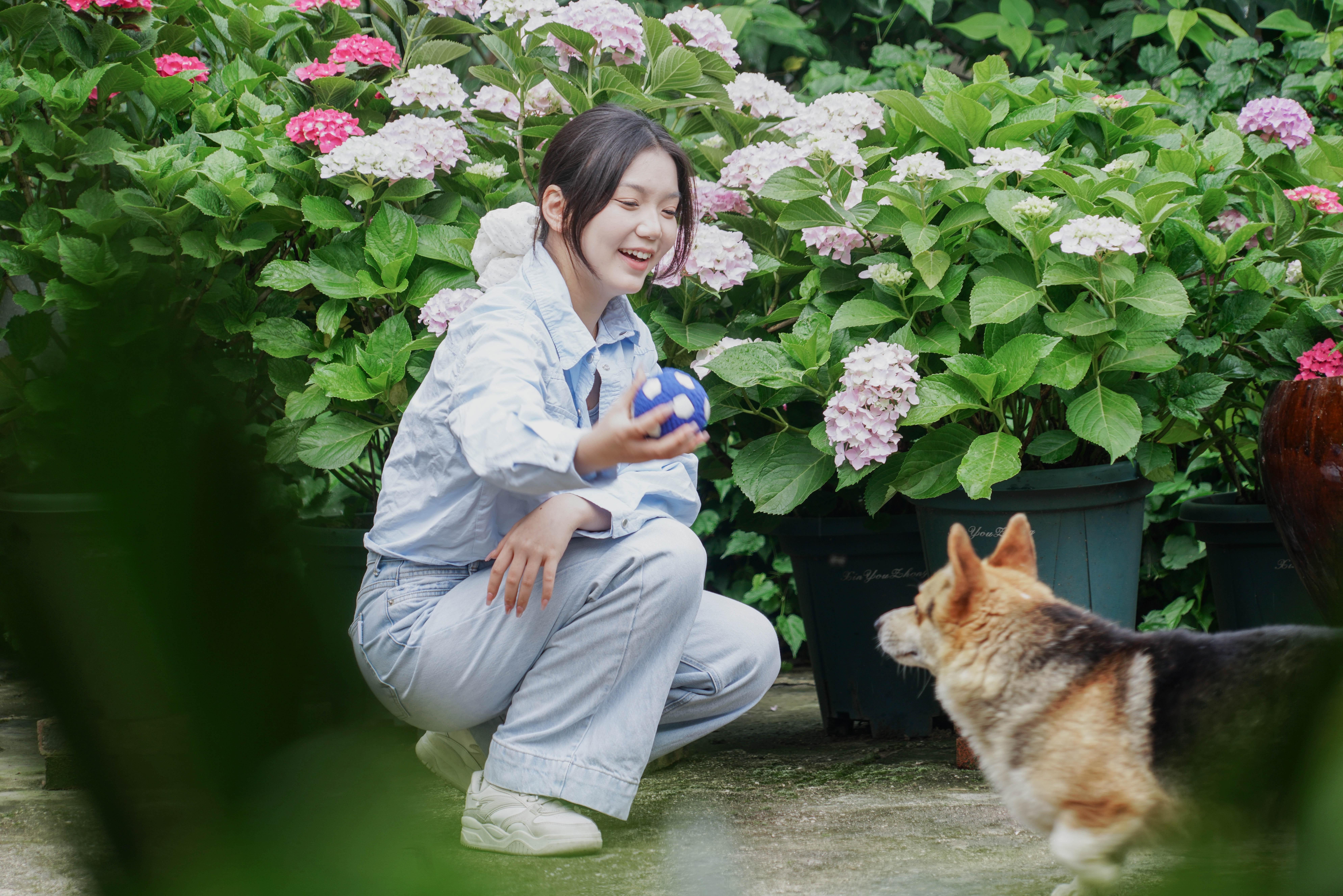 花境漫游