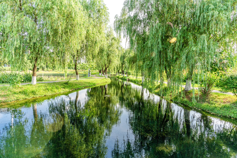 花園式再生水廠(chǎng)
