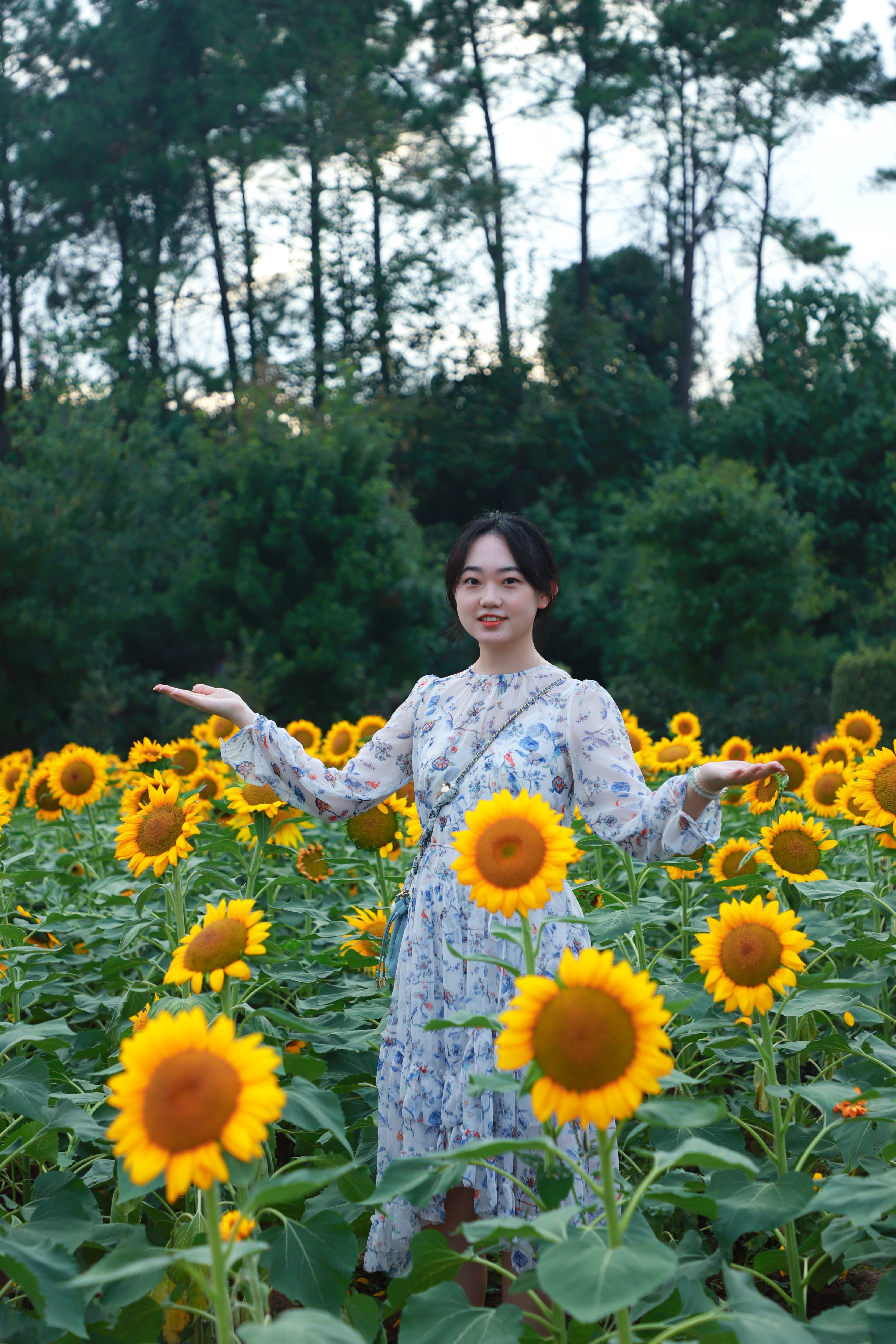 恬静如斯
