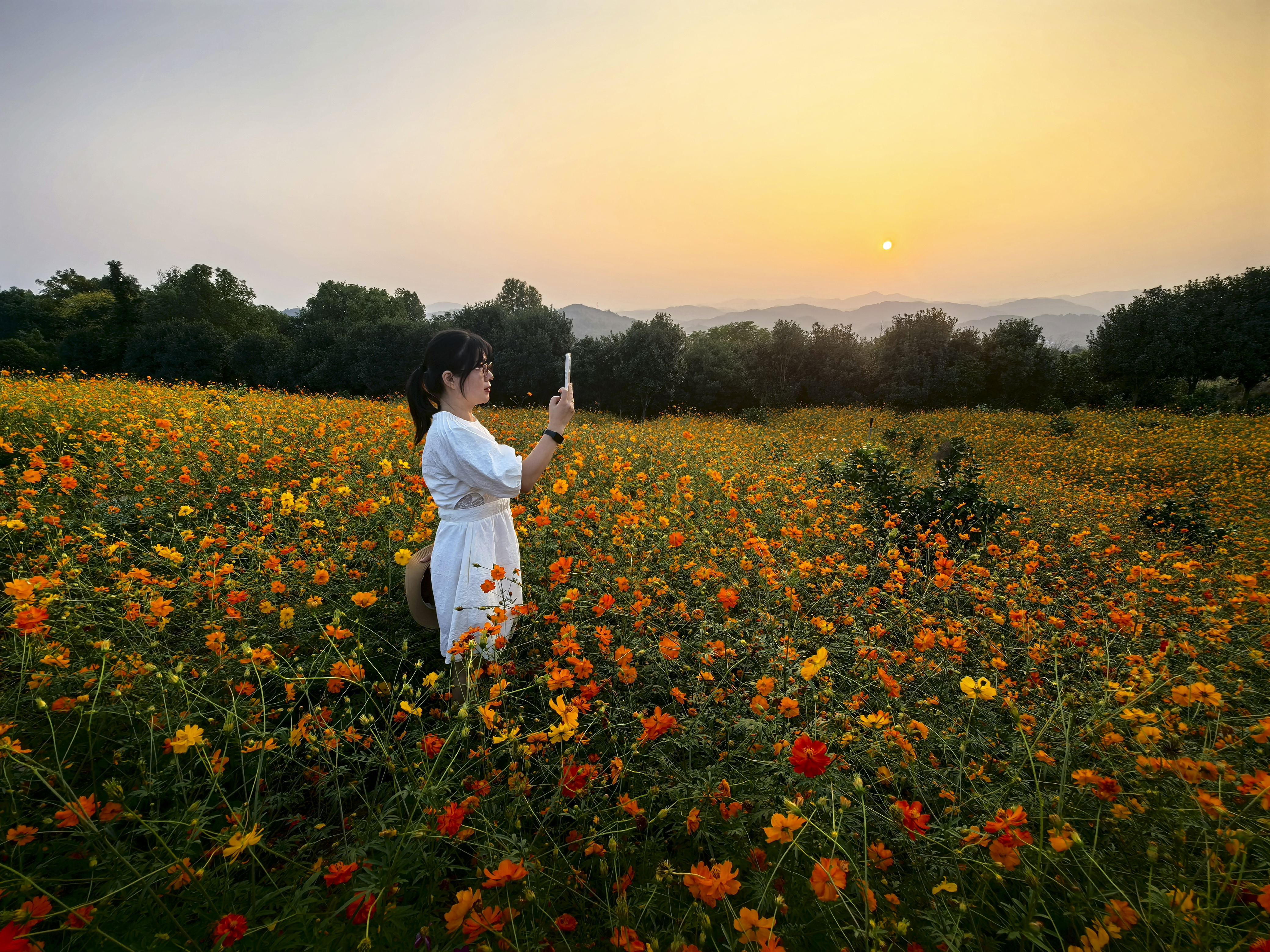 相约花海