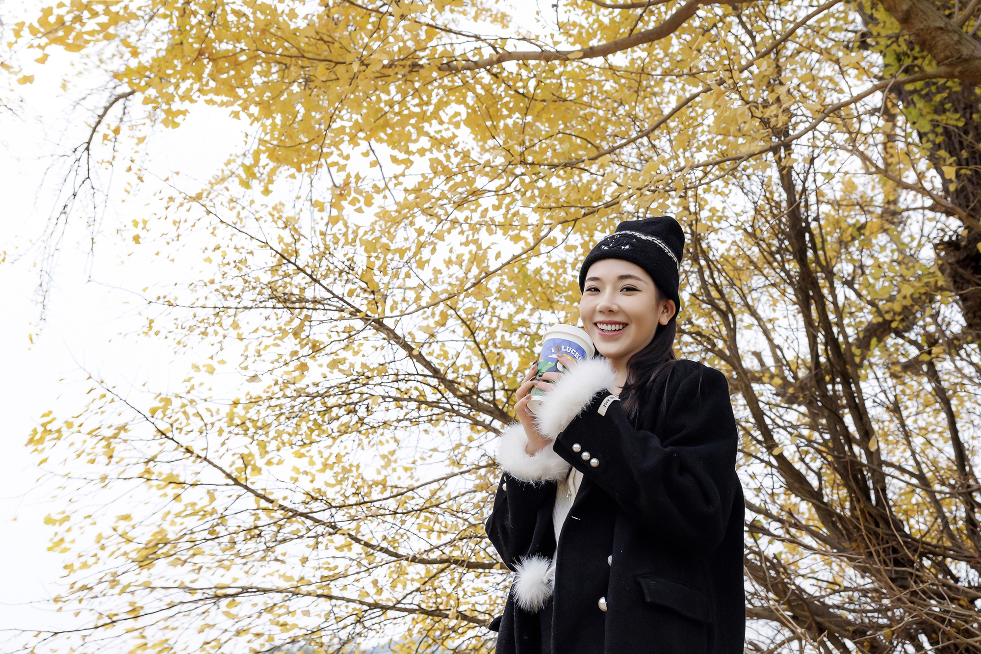 杏雨鎏金时 伊人舞风华