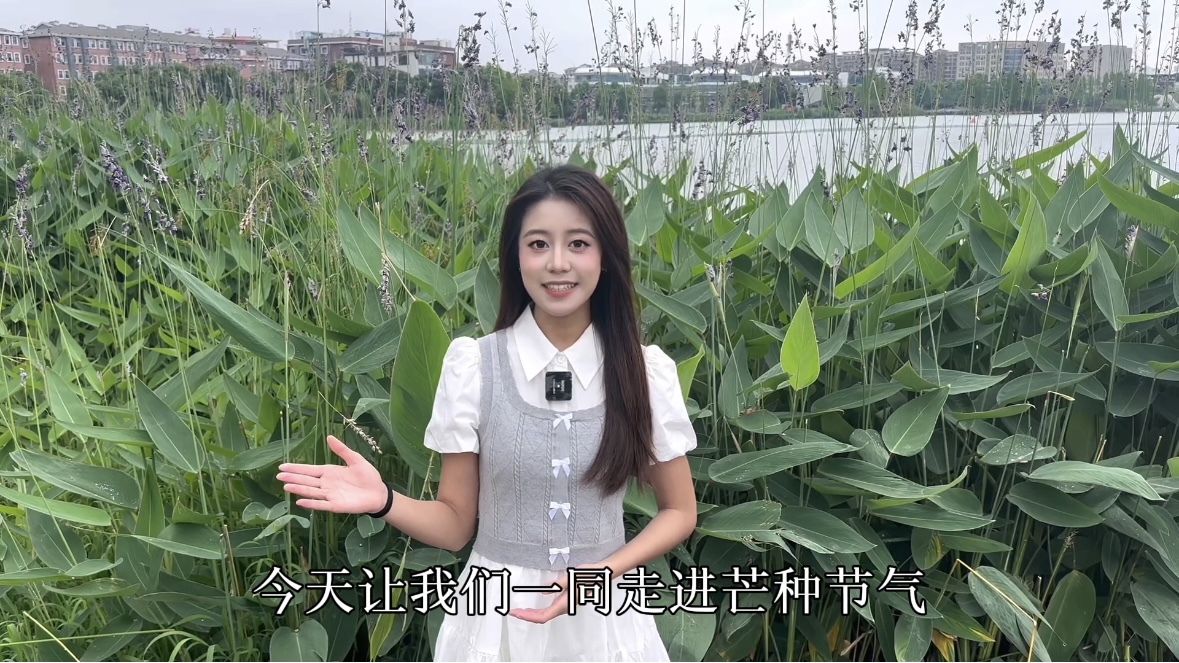 青声说节气丨今日芒种：适时播种，方期有成